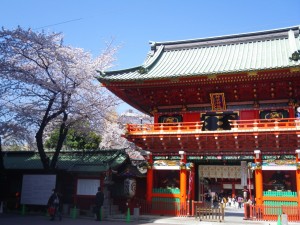 神田明神 隨神門と桜