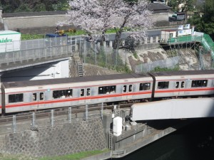 聖橋から見える桜と丸ノ内線