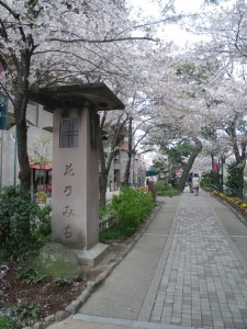 さくら咲く宝塚「花の道」