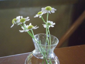 テーブルの花2
