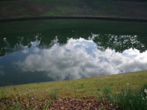 お堀に映る雲